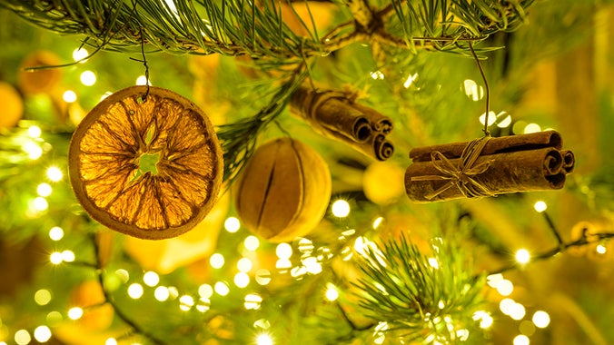 An orange slice and dried cinnamon sticks hanging on a Christmas tree branch lit by fairy lights